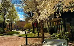 Northeastern University's campus in spring